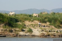 Из Мьянмы с любовью... Часть 8