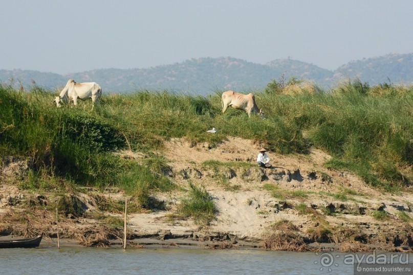 Из Мьянмы с любовью... Часть 8