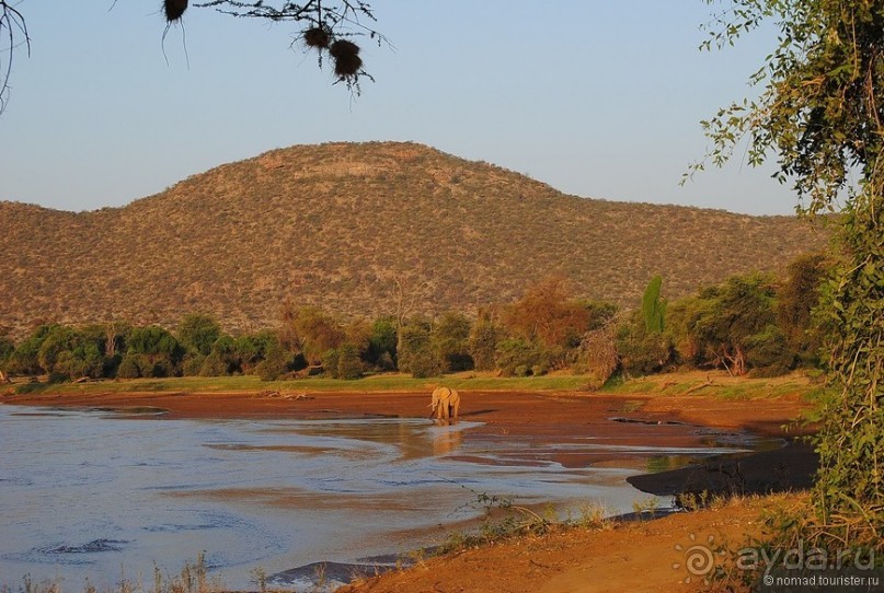 Кения, Самбуру