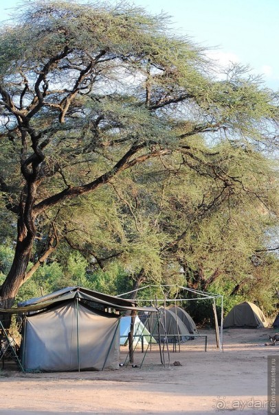 Кения, Самбуру