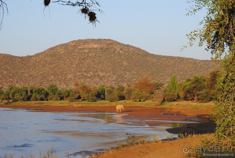 Кения, Самбуру