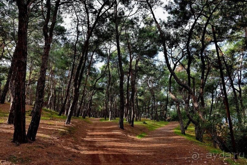 Прогулки из Стамбула. Хейбелиада