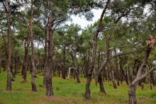 Прогулки из Стамбула. Хейбелиада