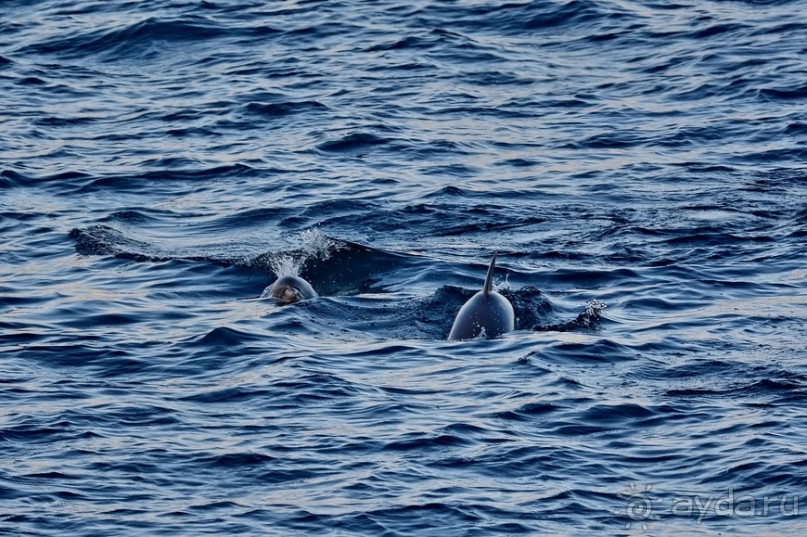 Прогулки из Стамбула. Хейбелиада