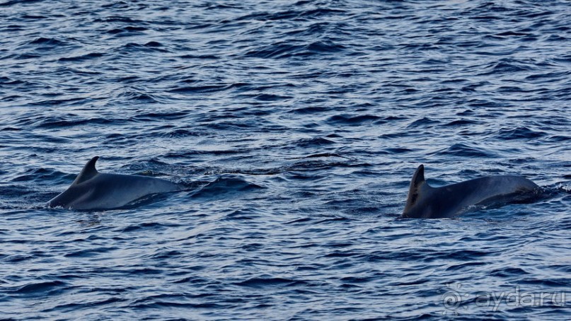 Прогулки из Стамбула. Хейбелиада
