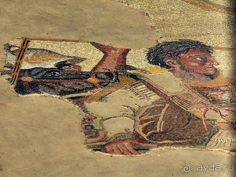 Поехали скорее в древние Помпеи!