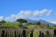 Поехали скорее в древние Помпеи!