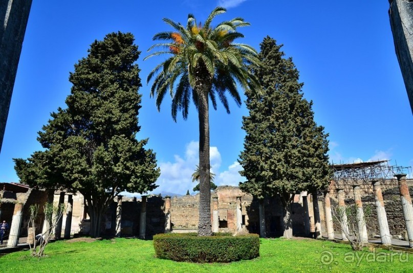 Поехали скорее в древние Помпеи!