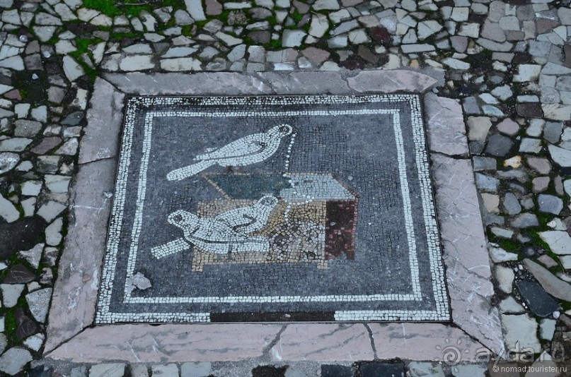 Поехали скорее в древние Помпеи!