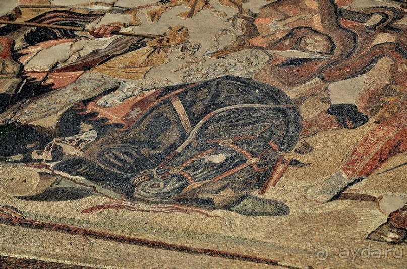 Поехали скорее в древние Помпеи!