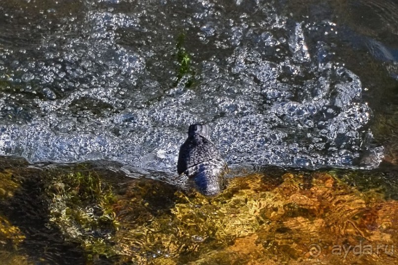 Чешские покатушки. Часть 4