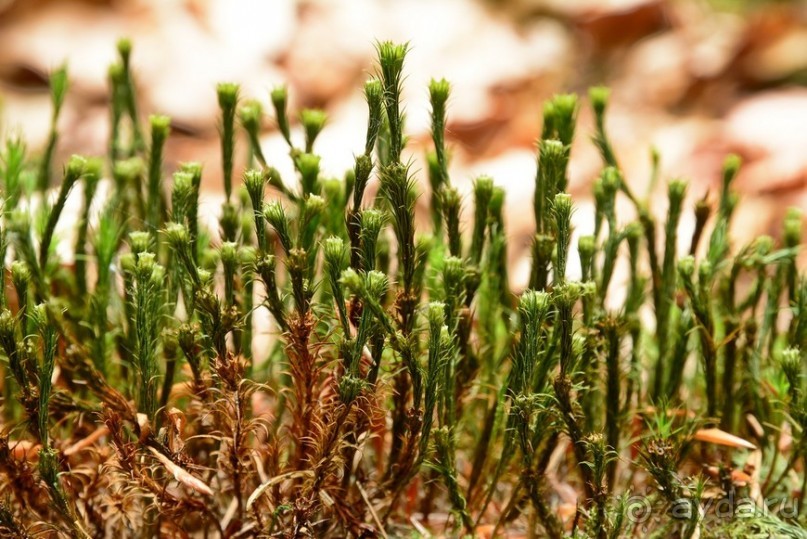 Чешские покатушки. Часть 4