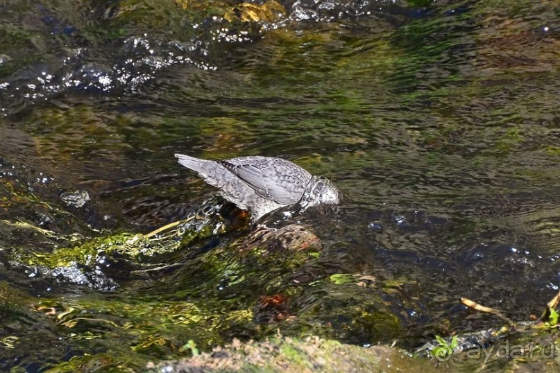 Чешские покатушки. Часть 4