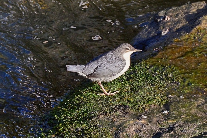 Чешские покатушки. Часть 4