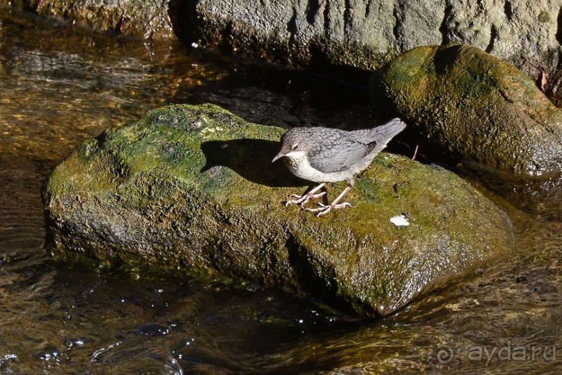 Чешские покатушки. Часть 4