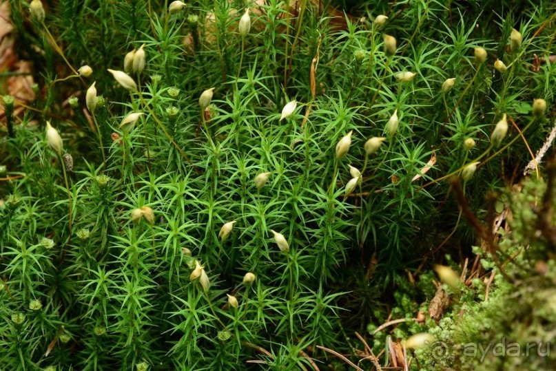 Чешские покатушки. Часть 4