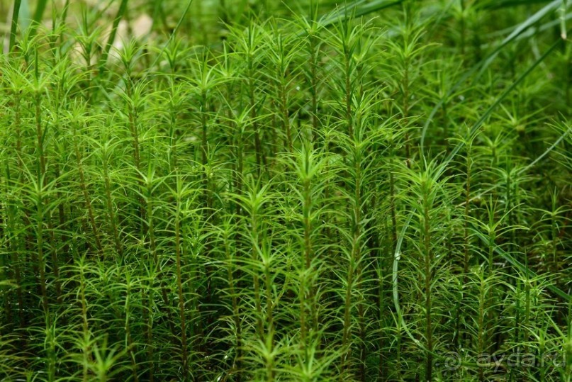 Чешские покатушки. Часть 4