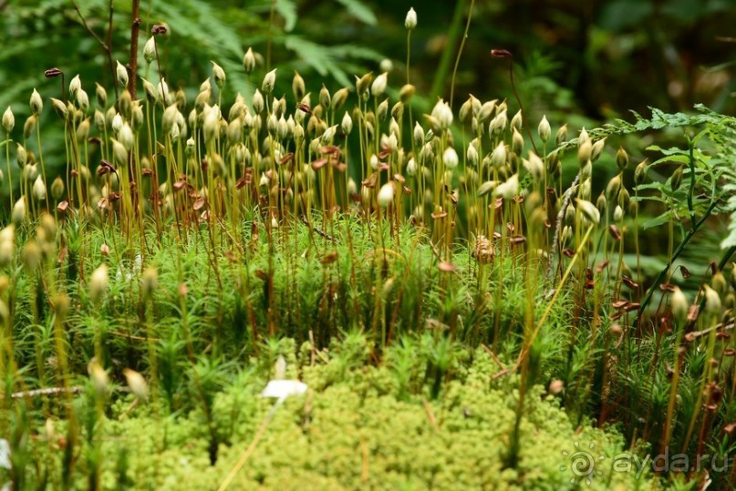 Чешские покатушки. Часть 4