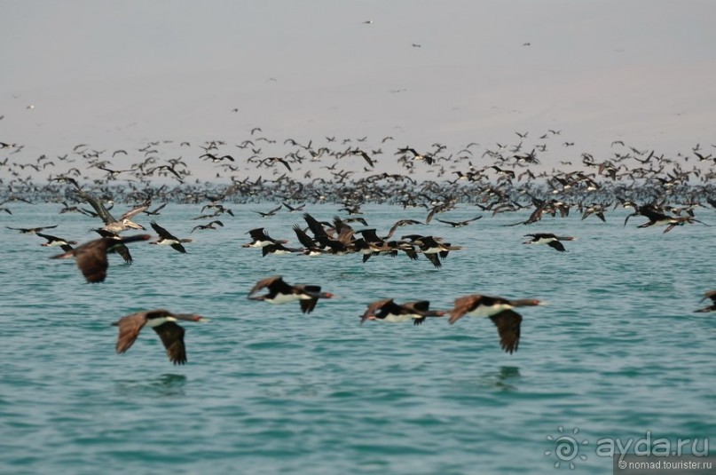 Американские горки (декабрь 2012-январь 2013). Часть 5