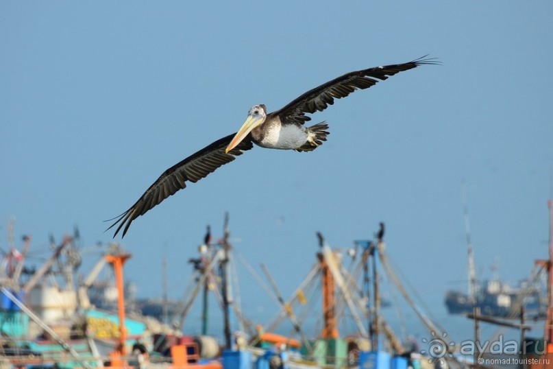 Американские горки (декабрь 2012-январь 2013). Часть 5