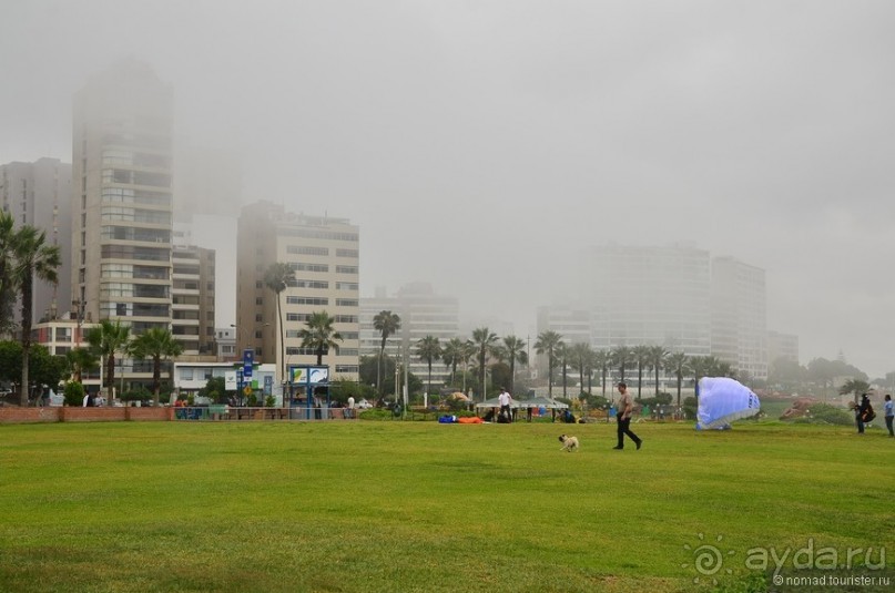 Американские горки (декабрь 2012-январь 2013). Часть 5