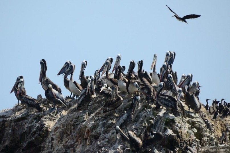 Американские горки (декабрь 2012-январь 2013). Часть 5