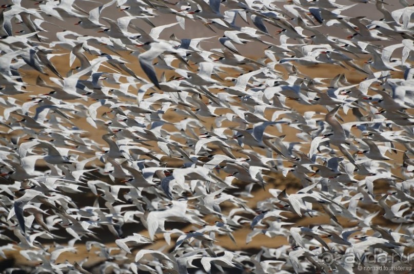 Американские горки (декабрь 2012-январь 2013). Часть 5