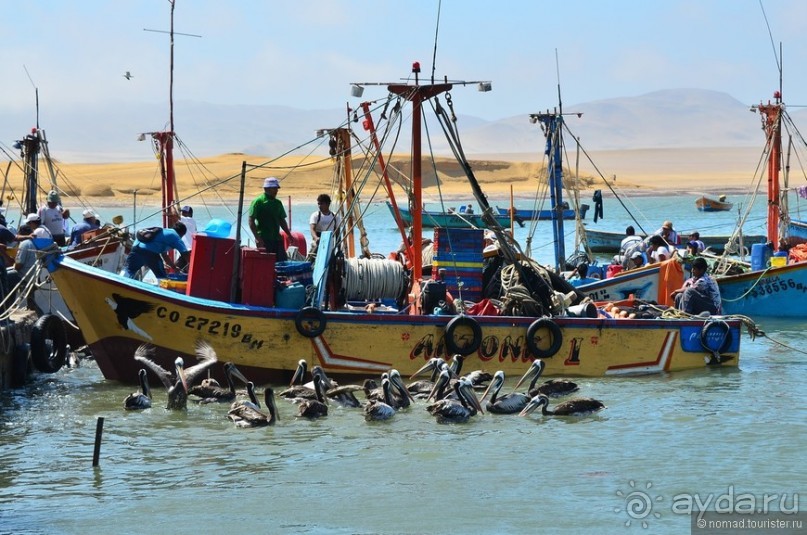 Американские горки (декабрь 2012-январь 2013). Часть 5