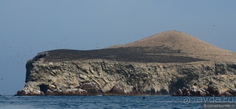 Американские горки (декабрь 2012-январь 2013). Часть 5