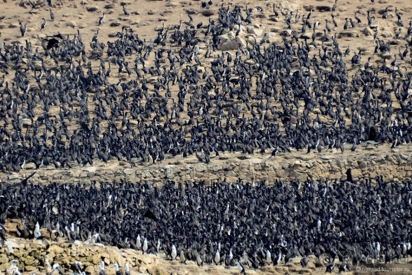 Американские горки (декабрь 2012-январь 2013). Часть 5