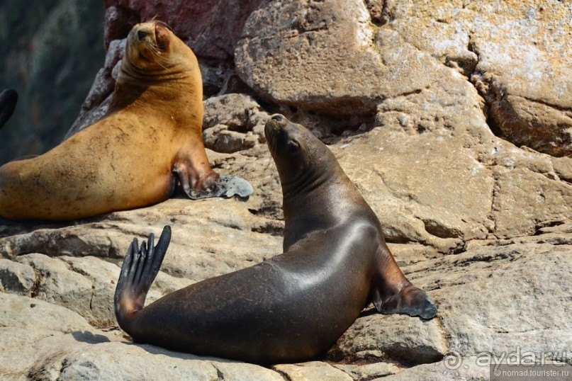 Американские горки (декабрь 2012-январь 2013). Часть 5