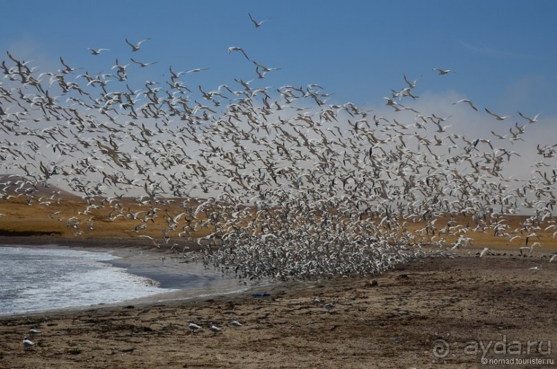 Американские горки (декабрь 2012-январь 2013). Часть 5