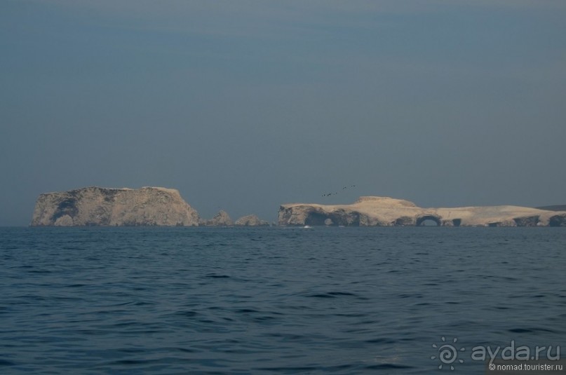 Американские горки (декабрь 2012-январь 2013). Часть 5