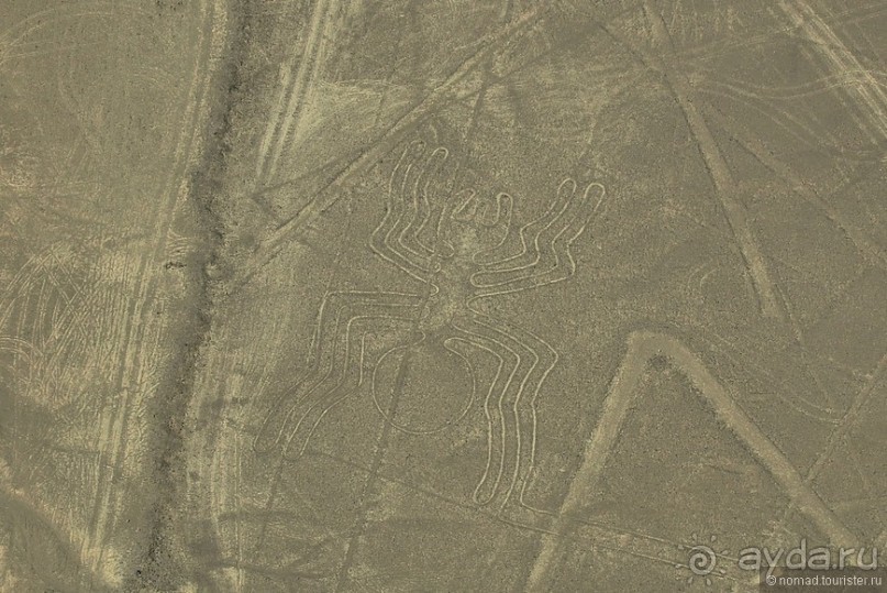 Американские горки (декабрь 2012-январь 2013). Часть 5