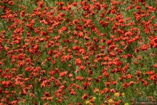 Страна хачкаров и алых маков. Часть 1