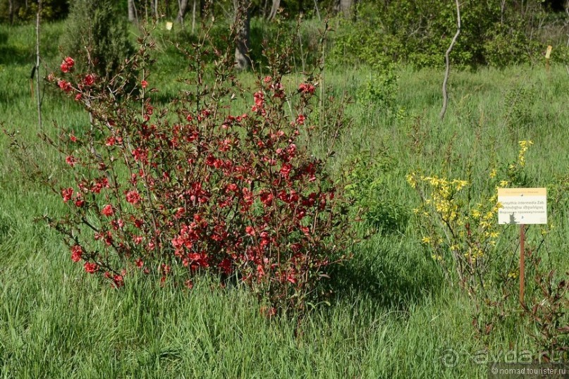 Страна хачкаров и алых маков. Часть 1