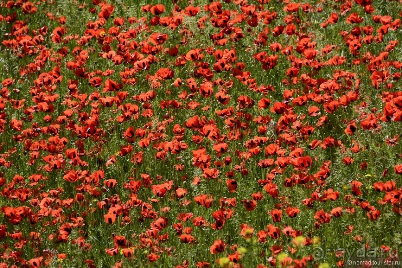 Страна хачкаров и алых маков. Часть 1