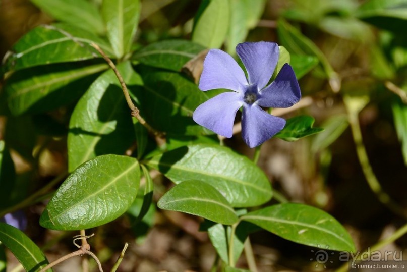 Страна хачкаров и алых маков. Часть 1