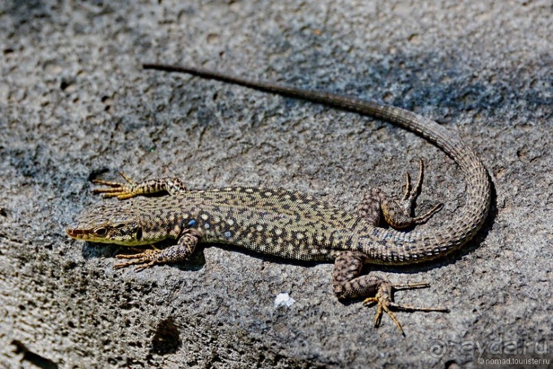 Страна хачкаров и алых маков. Часть 1