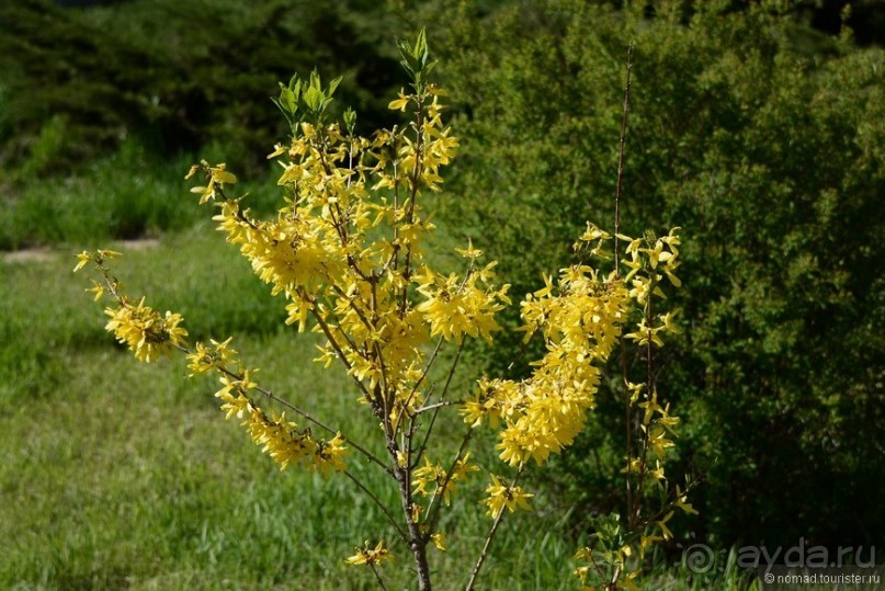 Страна хачкаров и алых маков. Часть 1