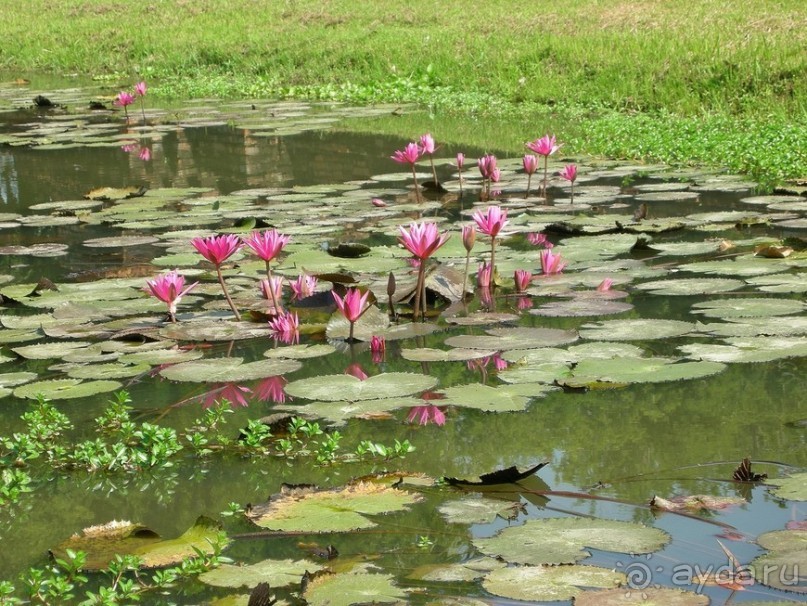 Праздник Лои Кратонг в древнем Сукхотае