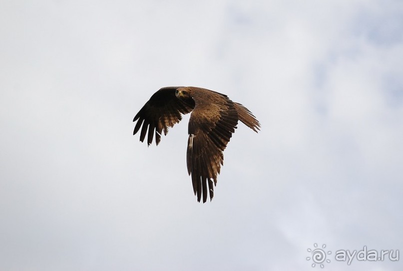 Танзания, Нгоронгоро