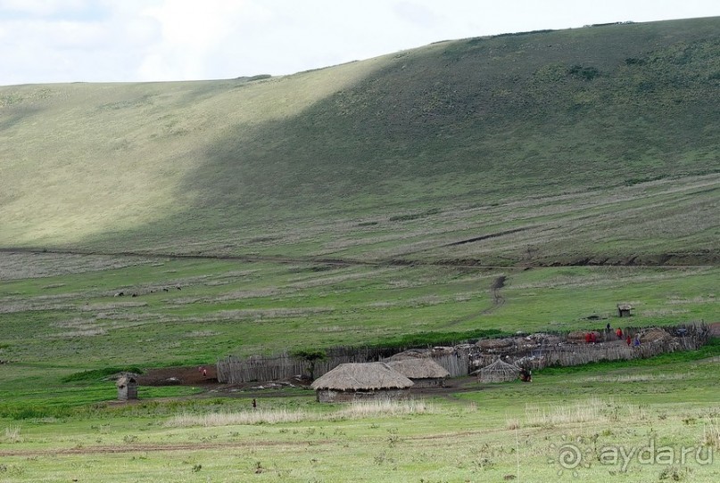 Танзания, Нгоронгоро