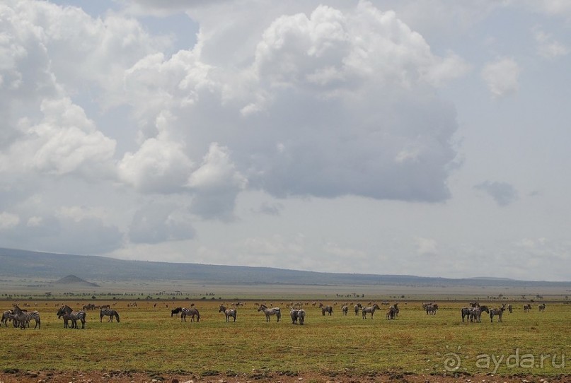 фото Нгоронгоро