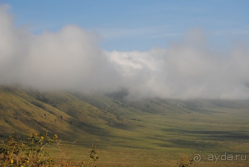 Танзания, Нгоронгоро