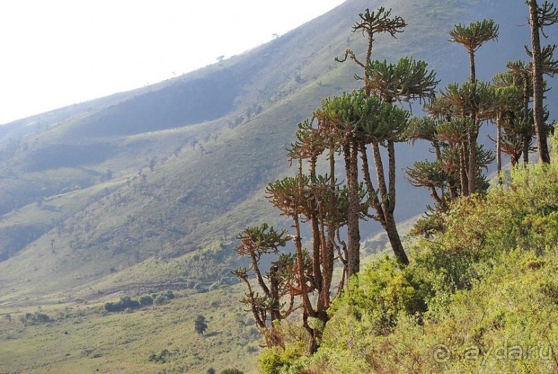 Танзания, Нгоронгоро