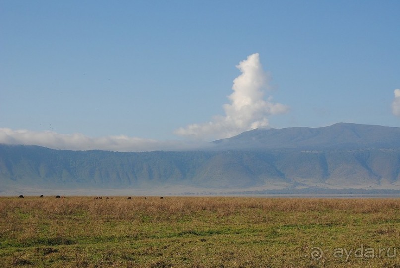 Танзания, Нгоронгоро