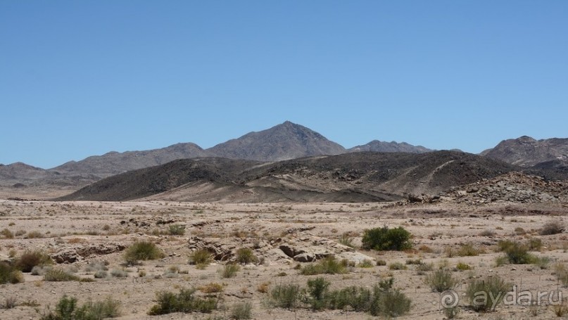 Африканский калейдоскоп. Часть 6