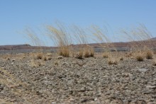 Африканский калейдоскоп. Часть 6