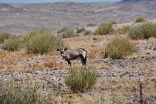 Африканский калейдоскоп. Часть 6